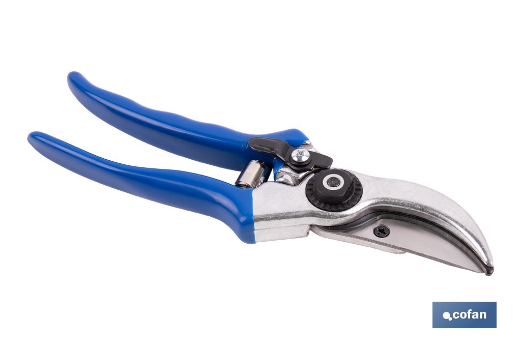 web1 90010615 06 web1 90010615 06