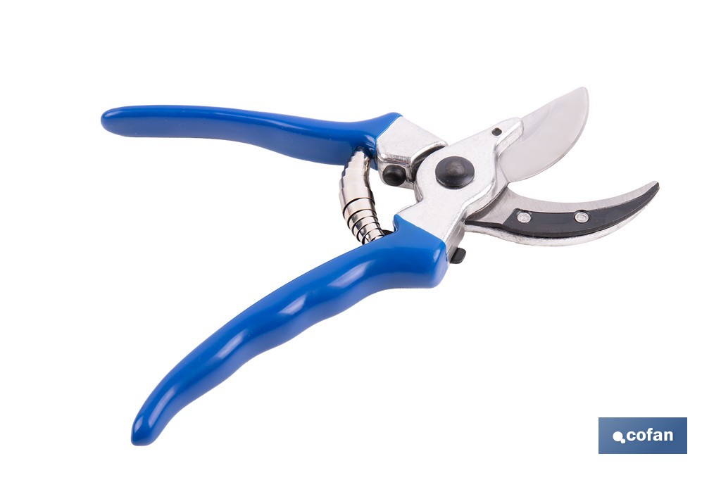 web1 90010615 07 web1 90010615 07