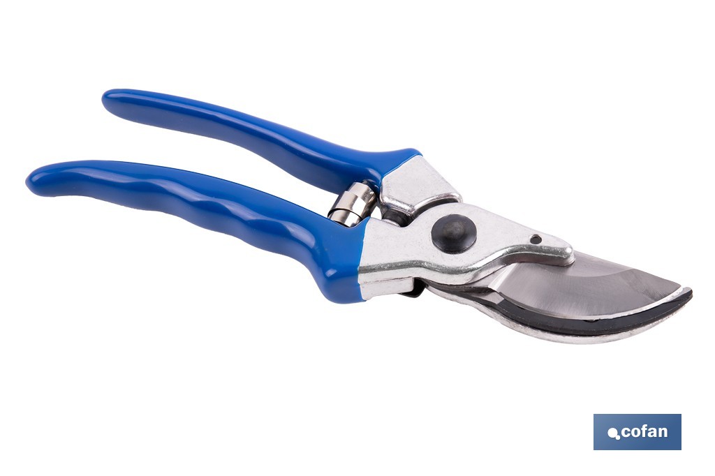 web1 90010615 08 web1 90010615 08